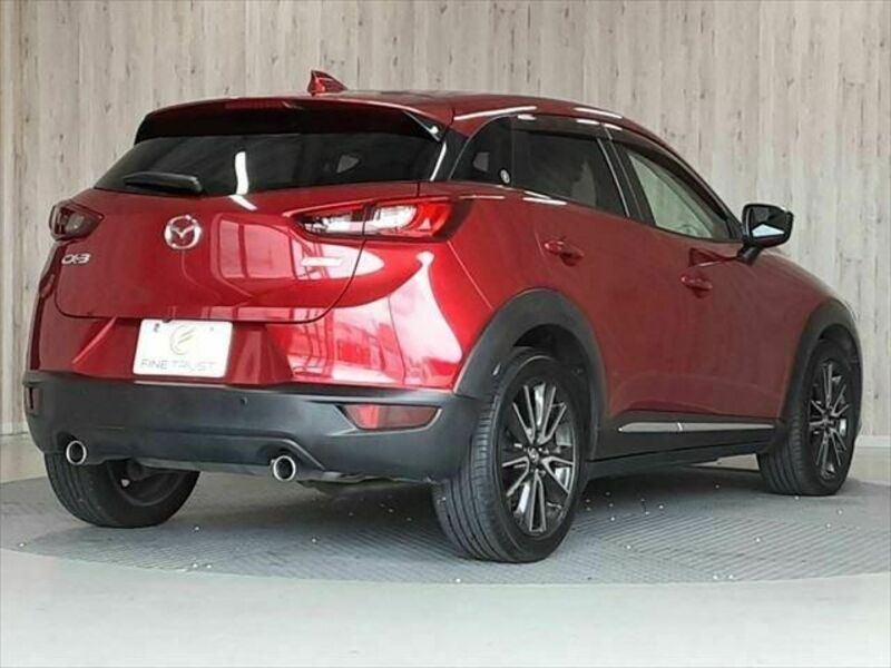 CX-3-19