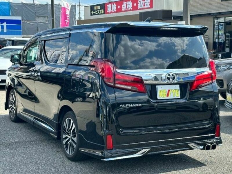 ALPHARD-6