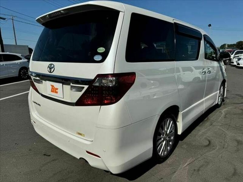 ALPHARD-14