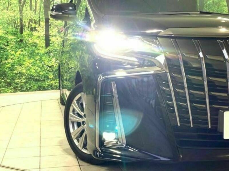 ALPHARD-13