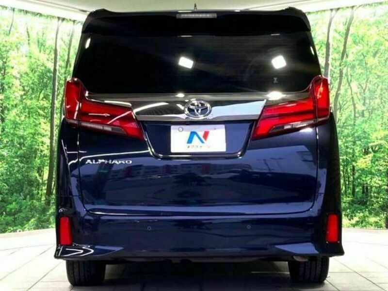 ALPHARD-16