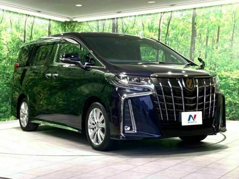 ALPHARD-17