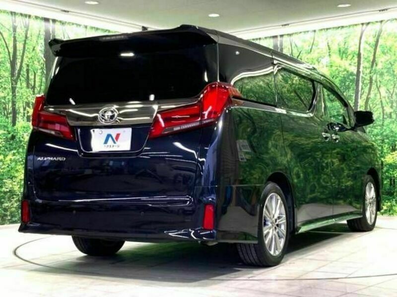 ALPHARD-18