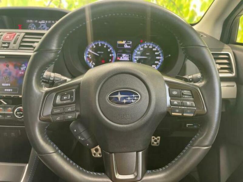 LEVORG-14