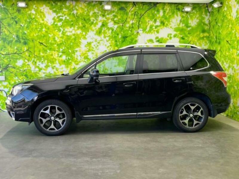 FORESTER-1