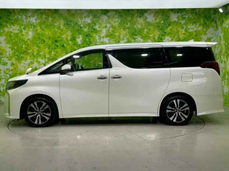 ALPHARD-1