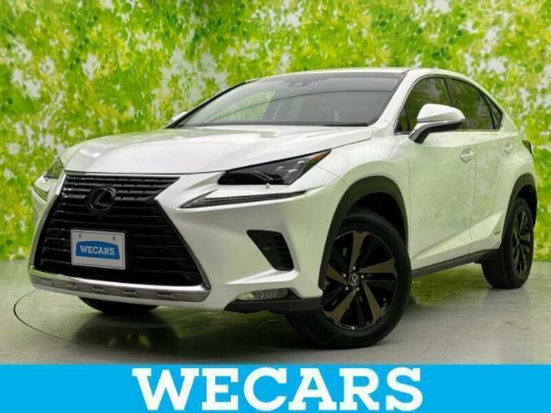 LEXUS　NX