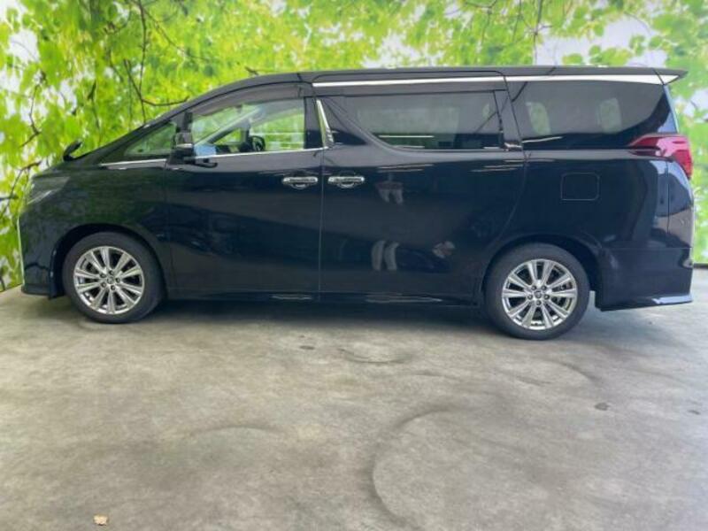 ALPHARD-1