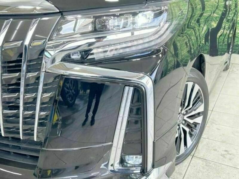 ALPHARD-13