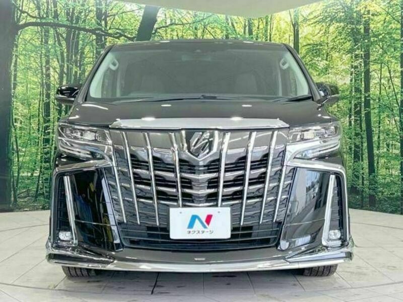 ALPHARD-15