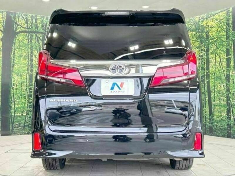 ALPHARD-16