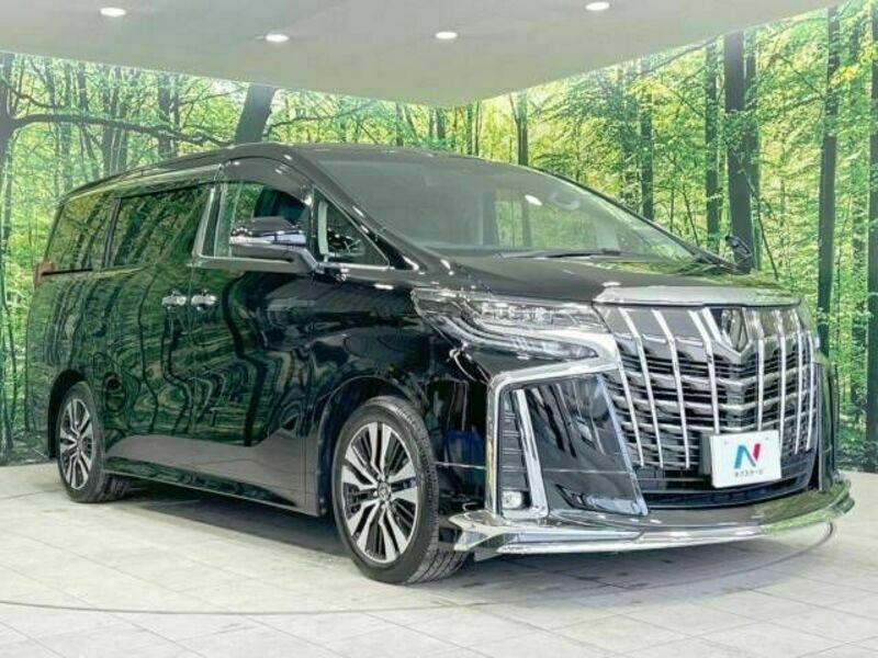 ALPHARD-17