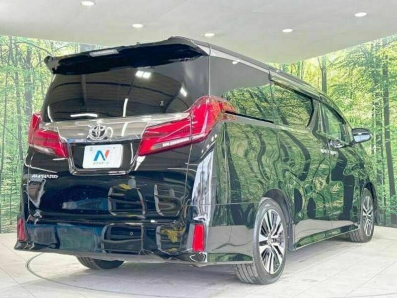 ALPHARD-18