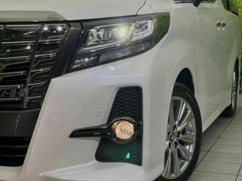 ALPHARD-13