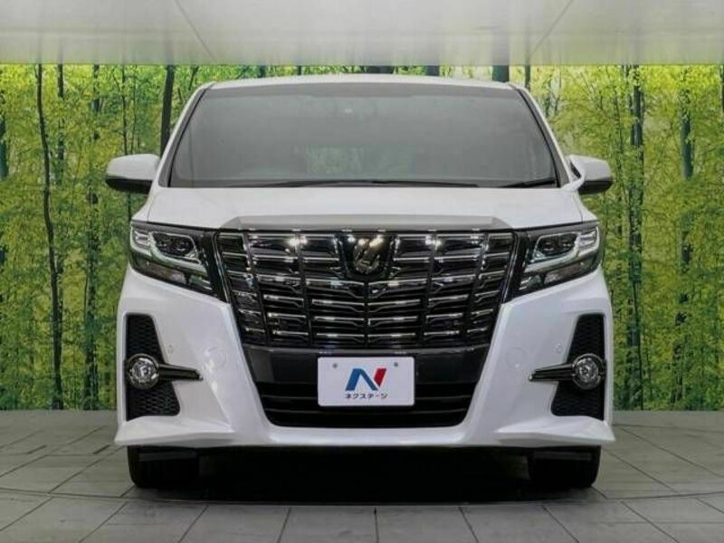 ALPHARD-15