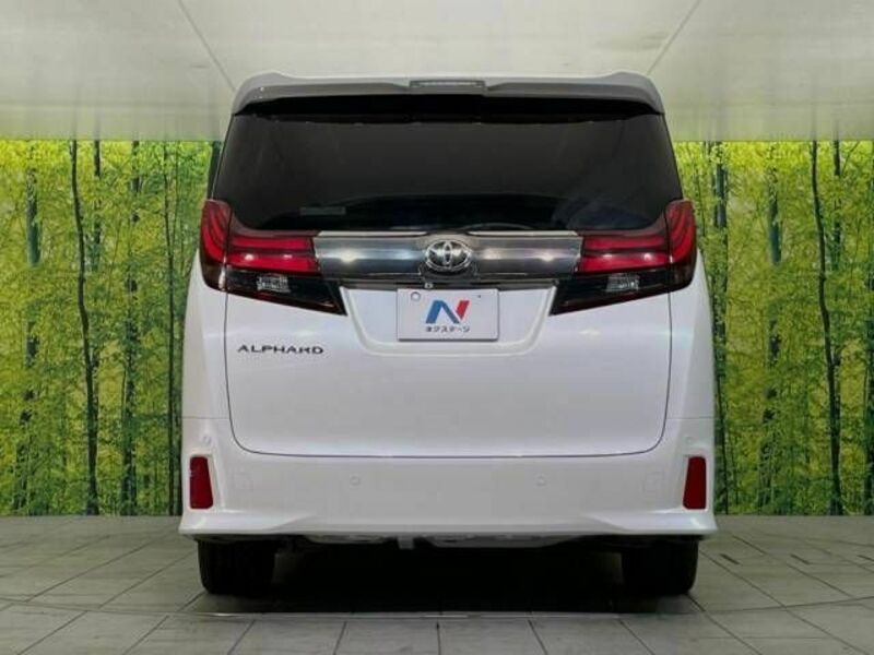 ALPHARD-16