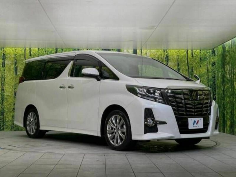 ALPHARD-17