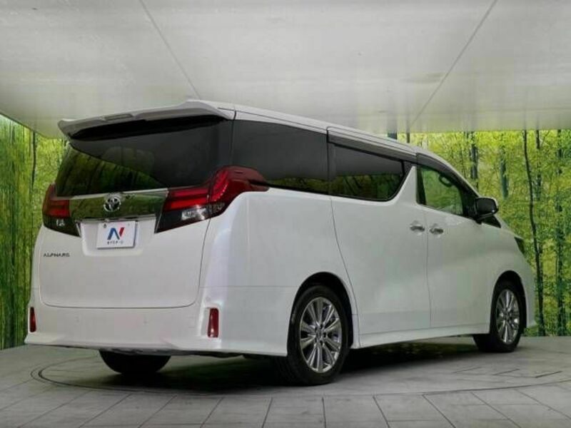 ALPHARD-18