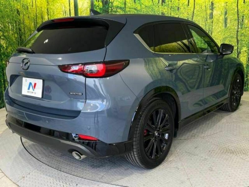 CX-5-17