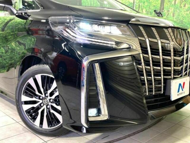 ALPHARD-12