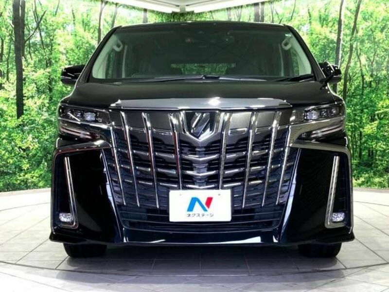 ALPHARD-15