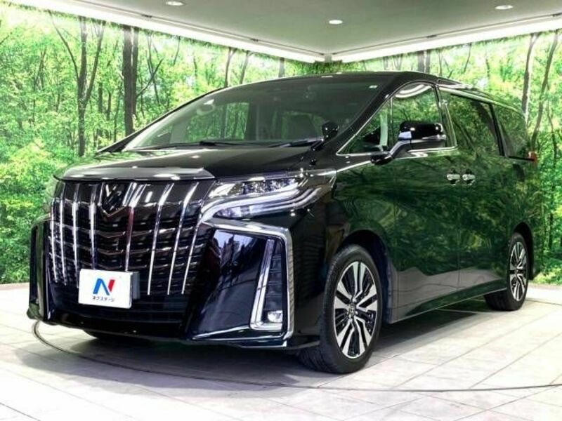 ALPHARD-17