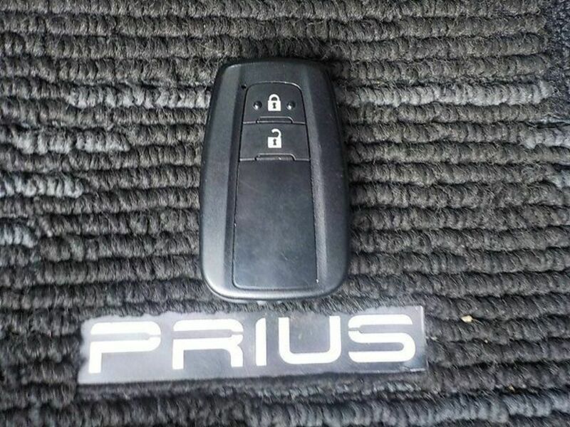 PRIUS-16