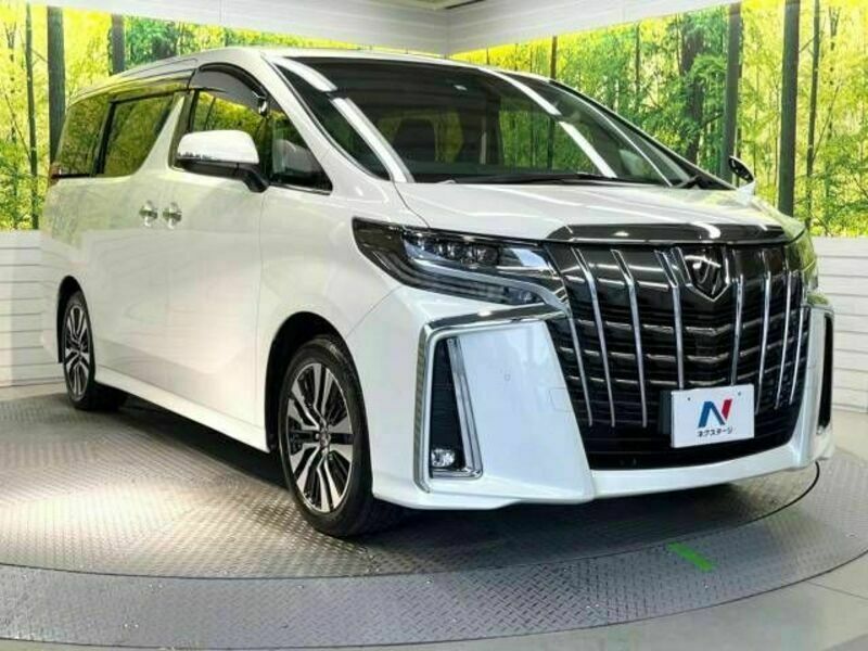 ALPHARD-17