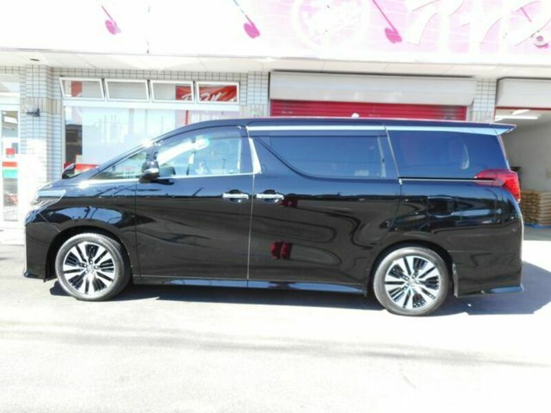 ALPHARD-6