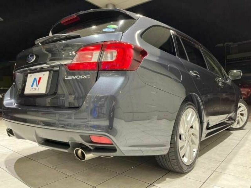 LEVORG-18