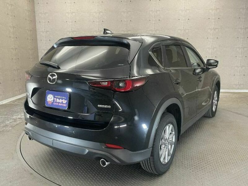 CX-5-3