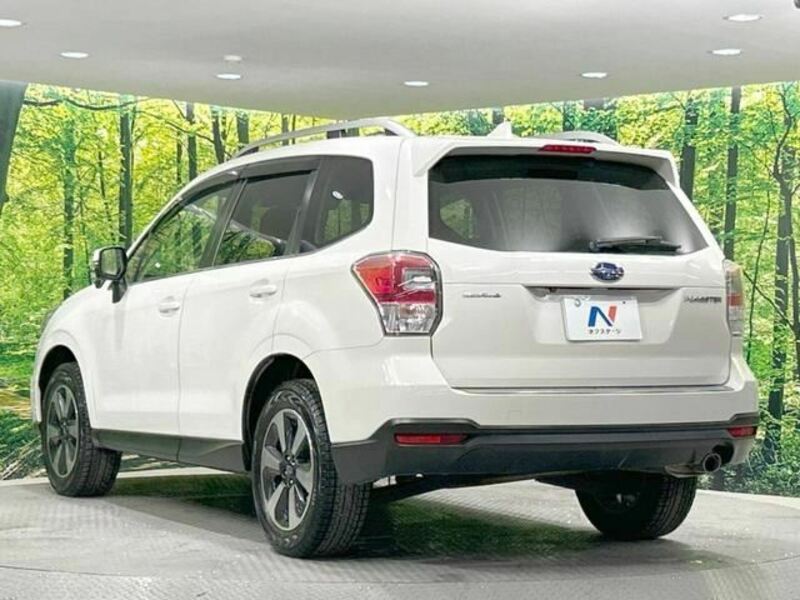 FORESTER-1