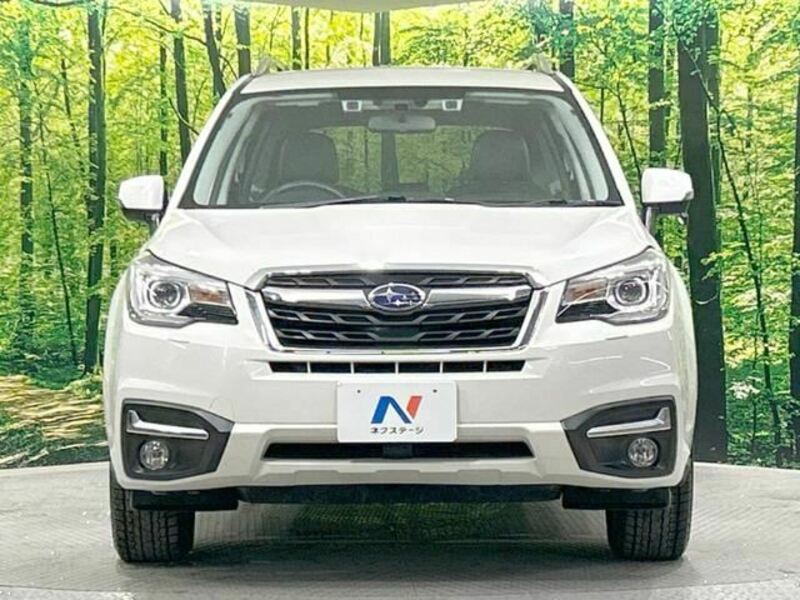 FORESTER-5