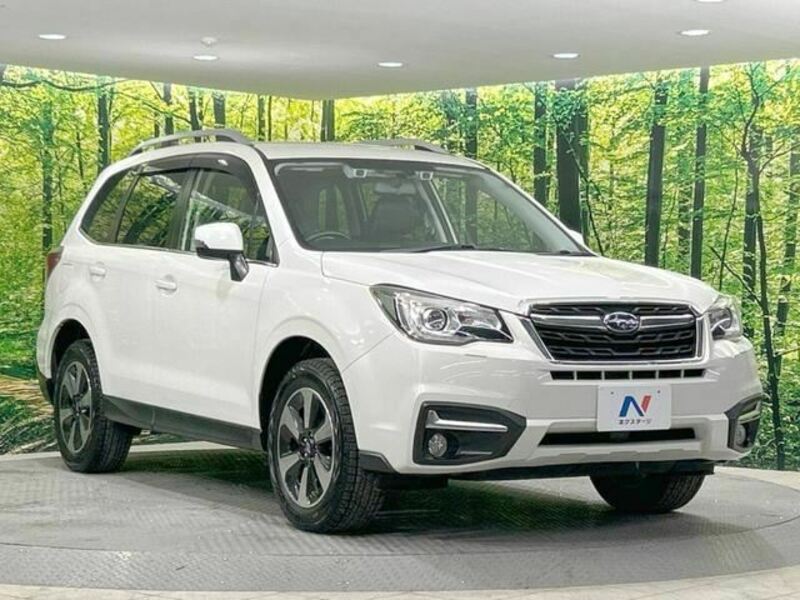 FORESTER-7