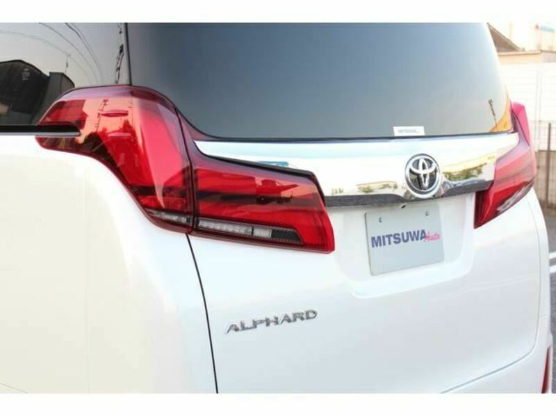 ALPHARD-10