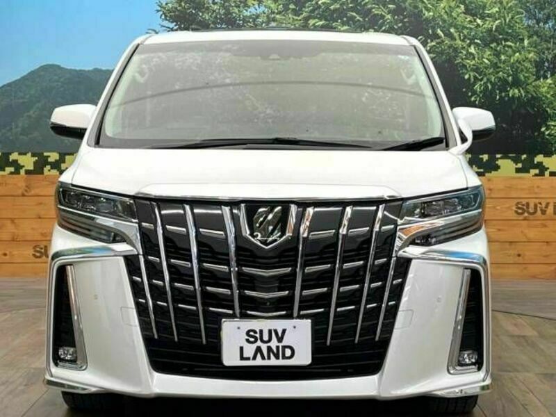 ALPHARD-14