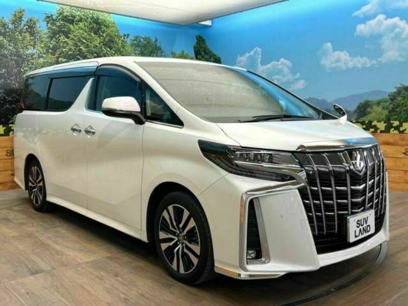 ALPHARD-16