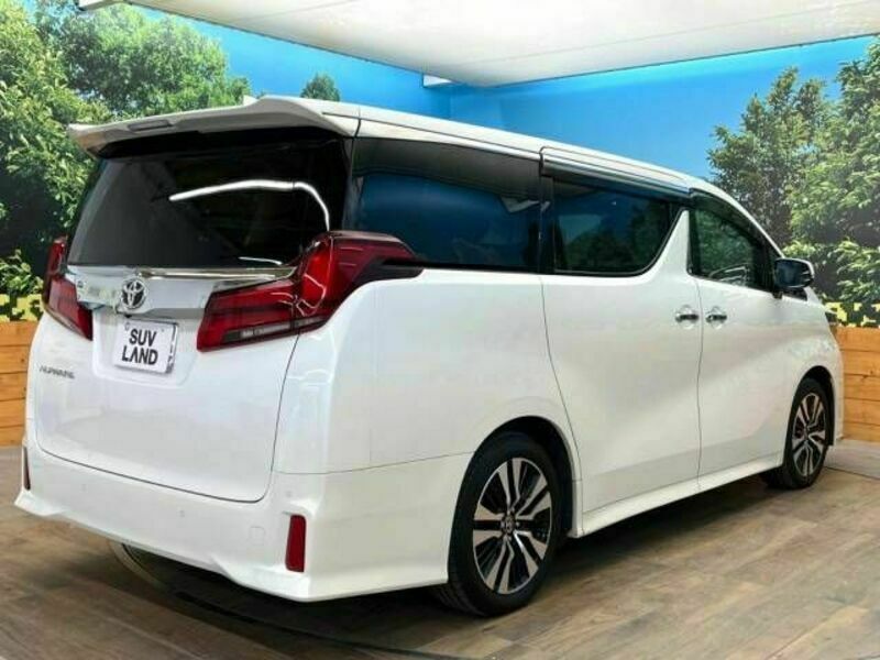 ALPHARD-17