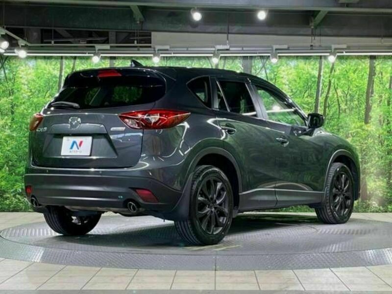 CX-5-17