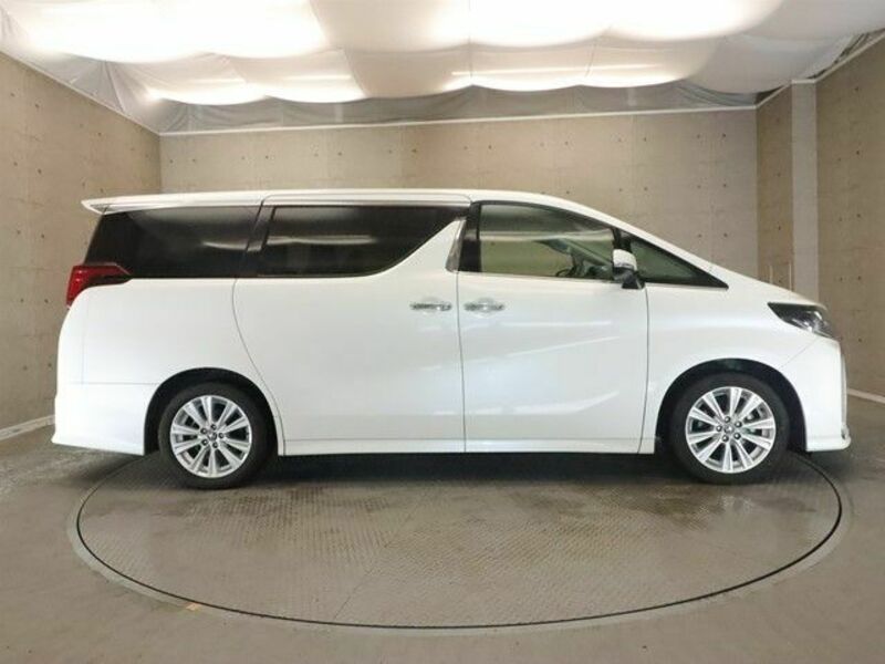 ALPHARD-21