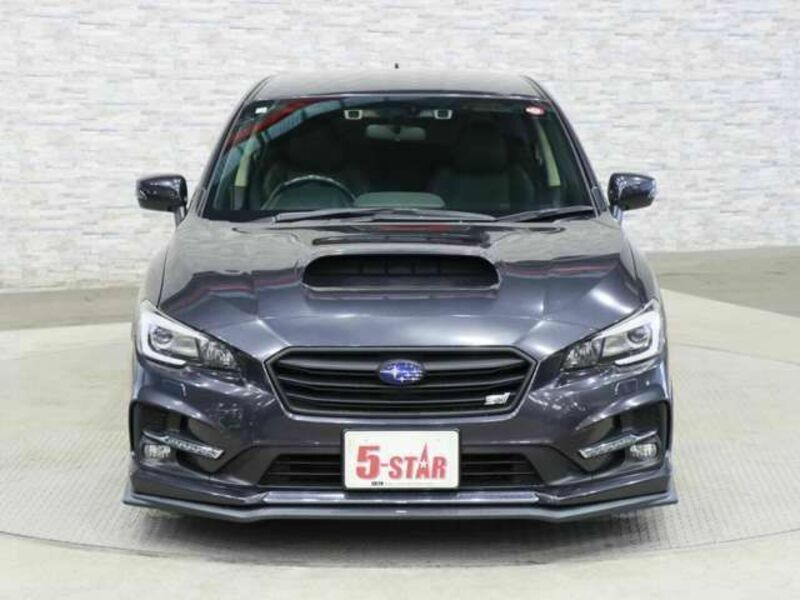 LEVORG-10