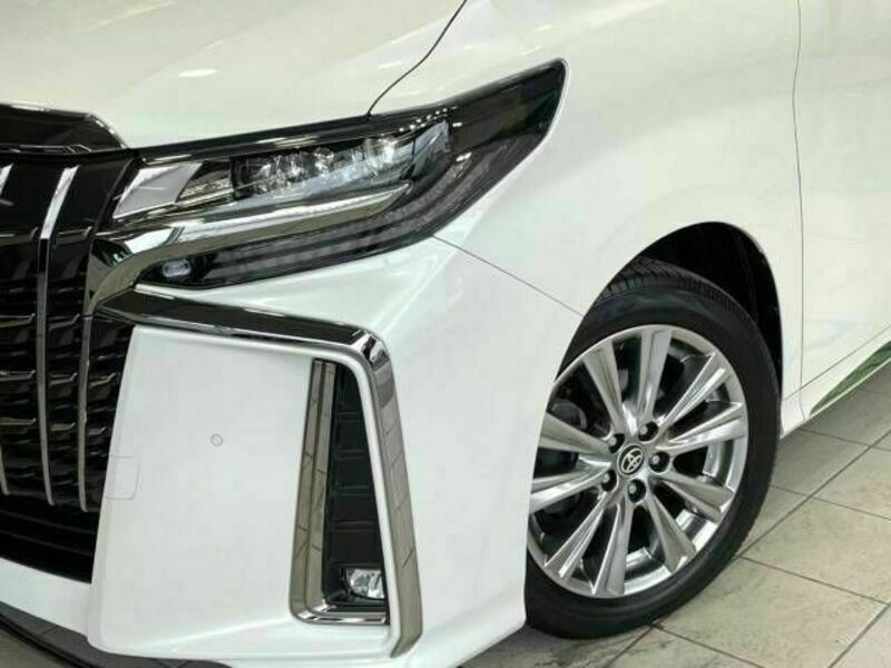 ALPHARD-13