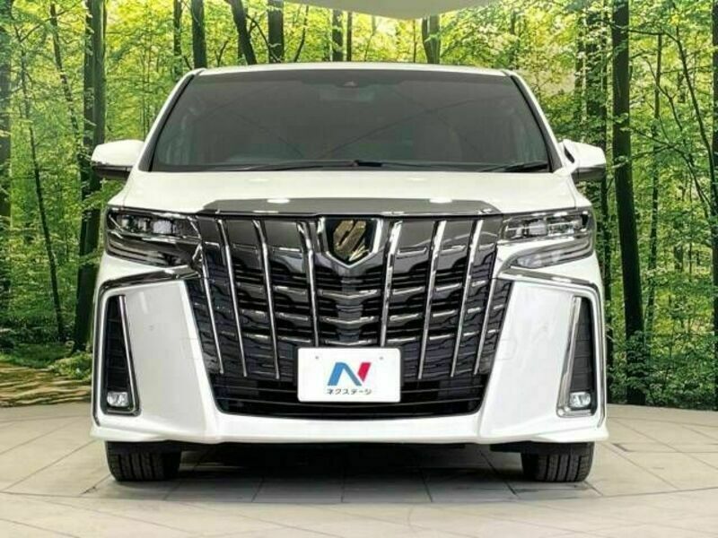 ALPHARD-15