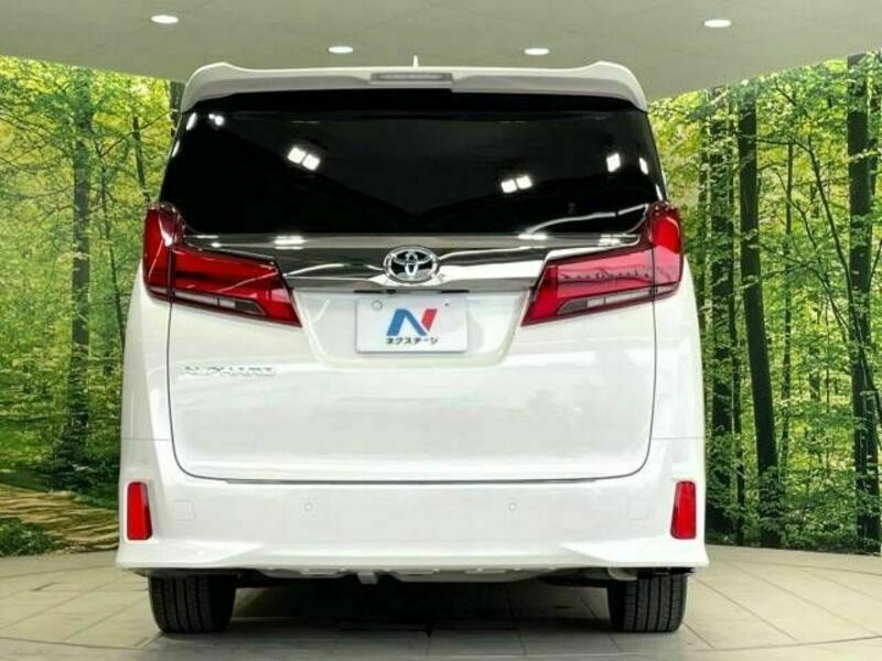 ALPHARD-16