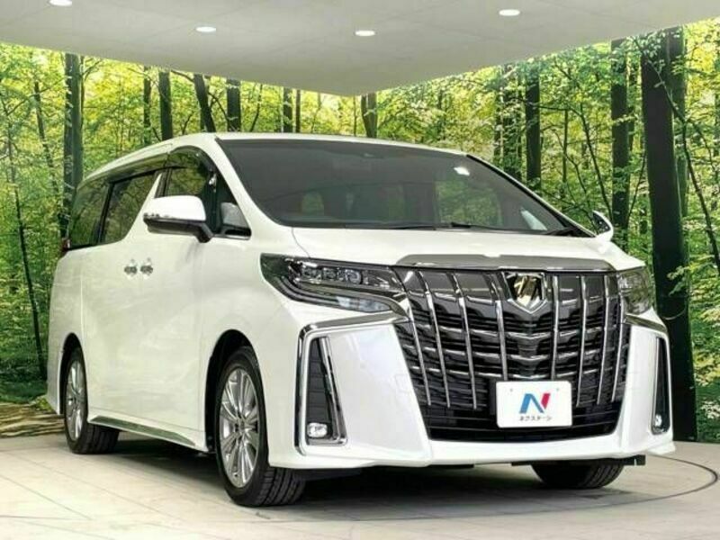 ALPHARD-17