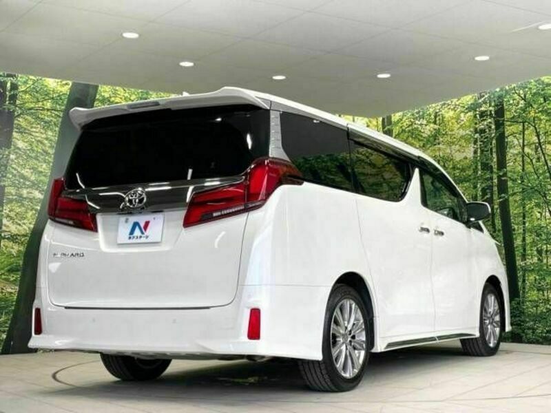 ALPHARD-18