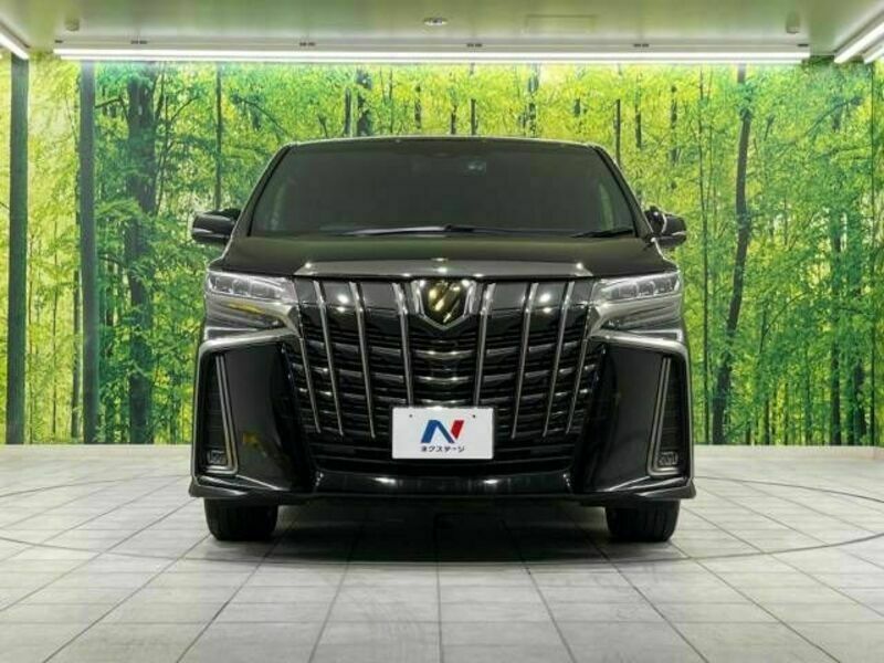 ALPHARD-16