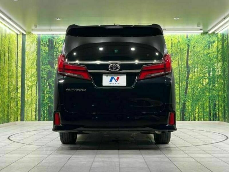 ALPHARD-17