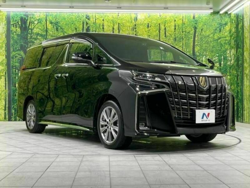 ALPHARD-18