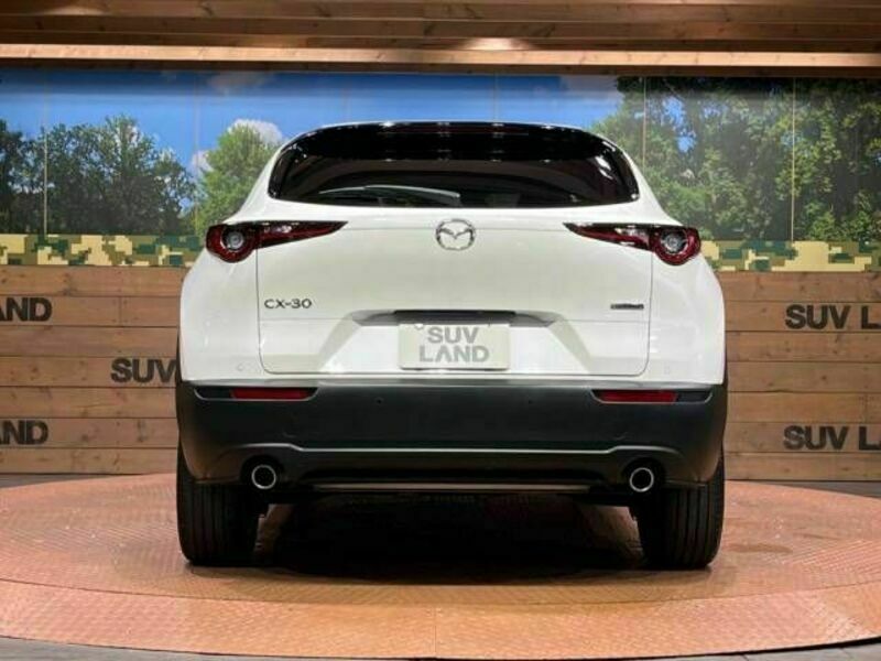 CX-30-15